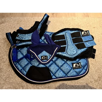 Blue rexin set