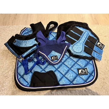 Blue rexin set